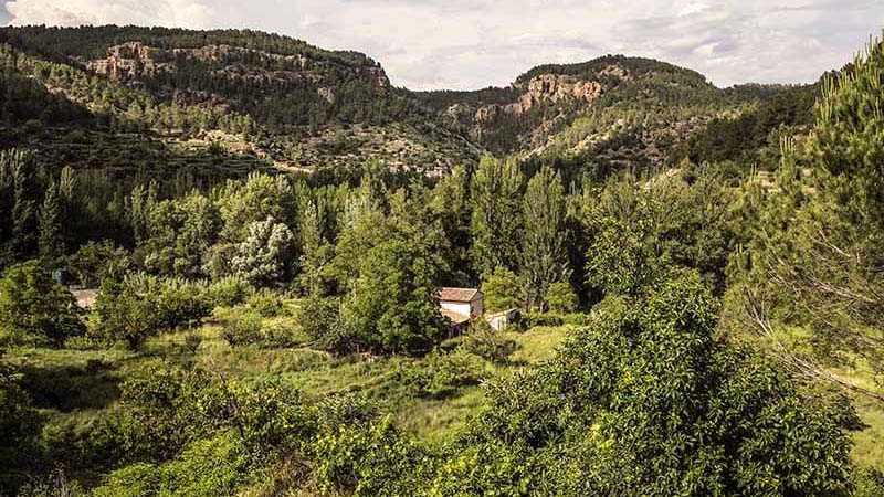 Molino de Olba 01 Molino de Olba 01