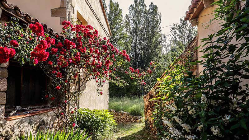 Molino de Olba 04 Molino de Olba 04