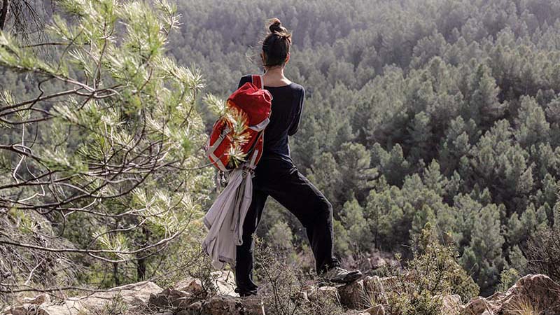 Molino de Olba 11 Molino de Olba 11